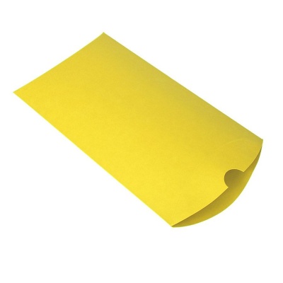 Коробка подарочная PACK; 23*16*4 см; желтый