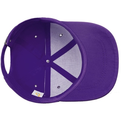 Бейсболка Bizbolka Capture, фиолетовая